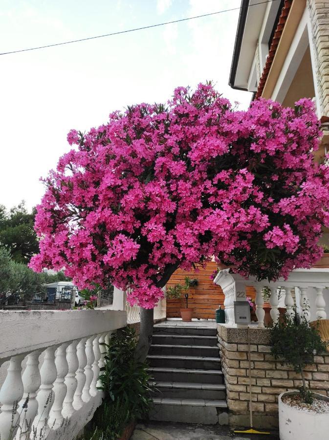 Apartments And Rooms Bozena Водице Екстер'єр фото